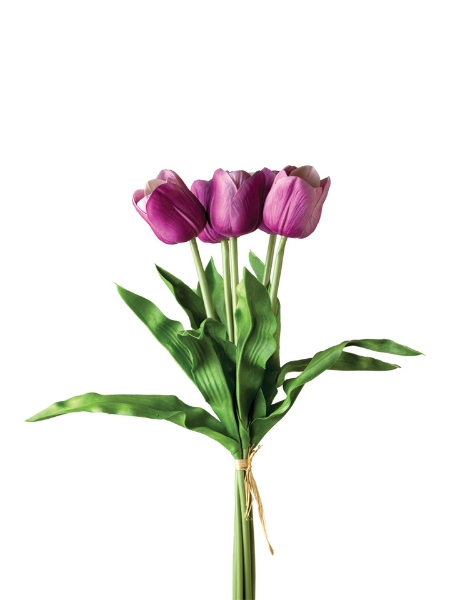 Picture of 23" TULIP STEM X5