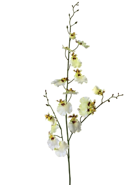 Picture of 36" ONCIDIUM SPRAY