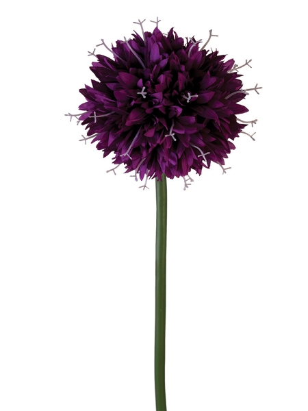 Picture of 35" ALLIUM SPRAY