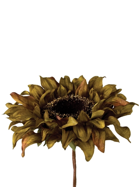 Picture of 8" HELIANTHUS SUNFLOWER PICK