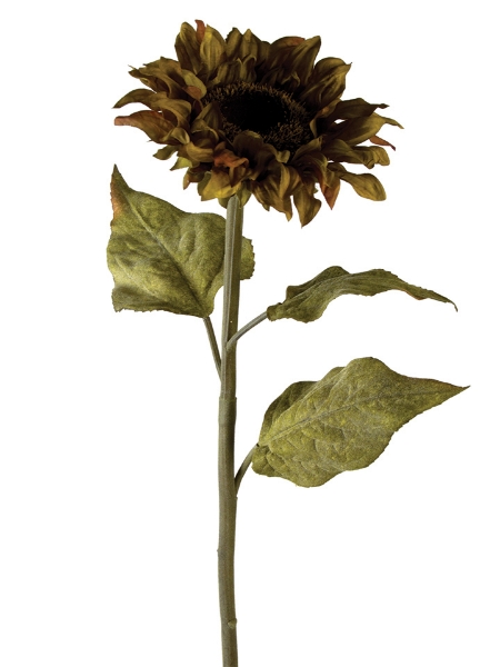 Picture of 36" HELIANTHUS SUNFLOWER SPRAY