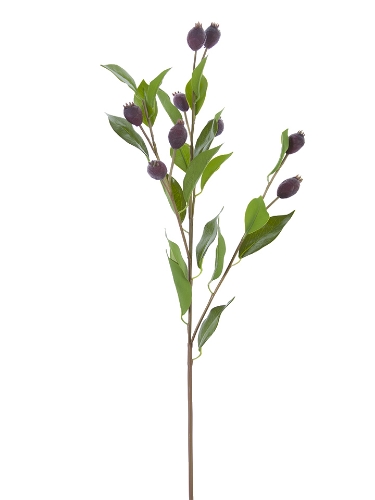 Picture of 32" DUNE BERRY FRUIT SPRAY