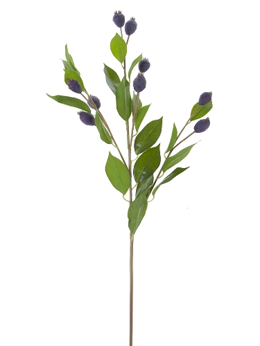 Picture of 32" DUNE BERRY FRUIT SPRAY