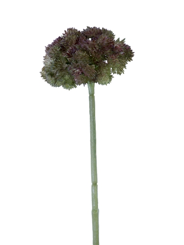 Picture of 8.5" VIBURNUM BALL STEM