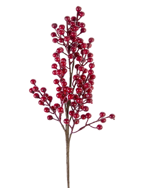 Picture of 23" ELDER BERRY SPRAY