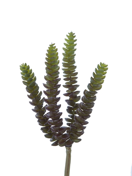 Picture of 10"BURRO TAIL PICK