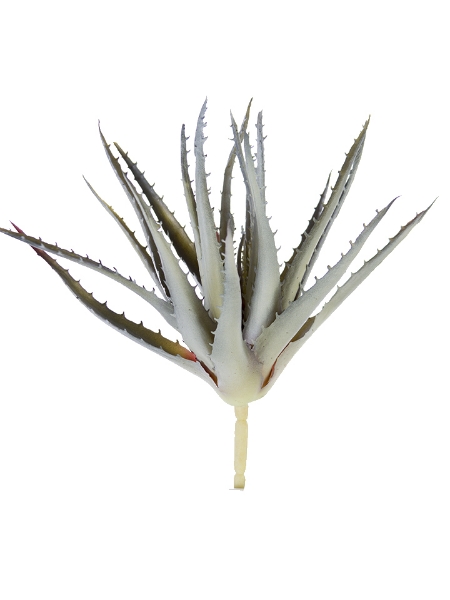 Picture of 10" ALOE PICK W/ THORNS