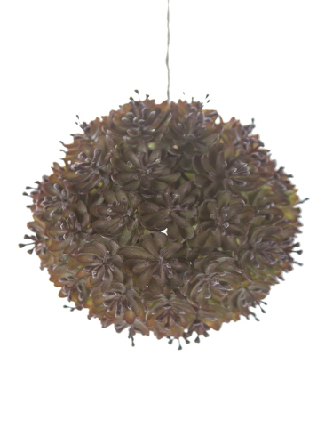 Picture of 5" SUCCULENT BALL