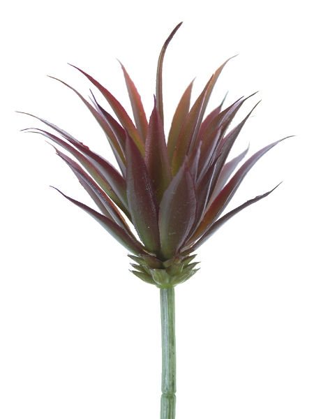 Picture of 8.5"MINI YUCCA PICK