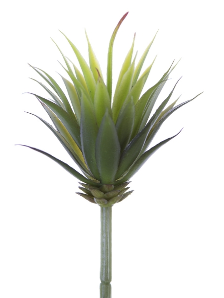 Picture of 8.5"MINI YUCCA PICK