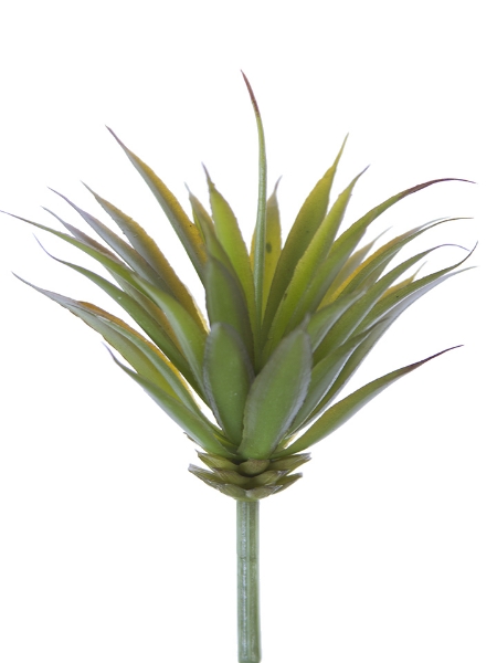 Picture of 8.5" MINI YUCCA PICK