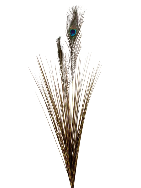 Picture of 38" PVC GRASS W/PEACOCK