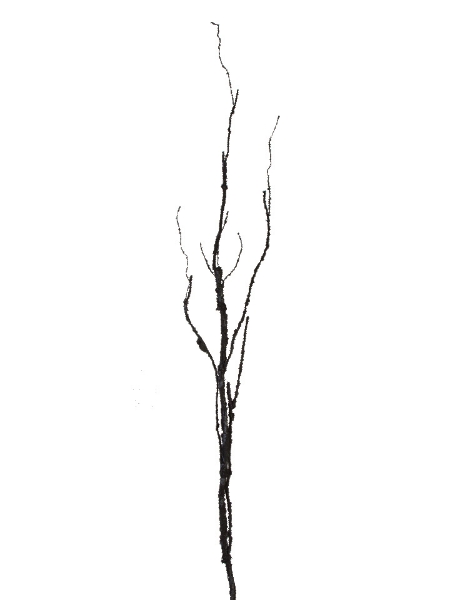 Picture of 46" TWIG SPRAY