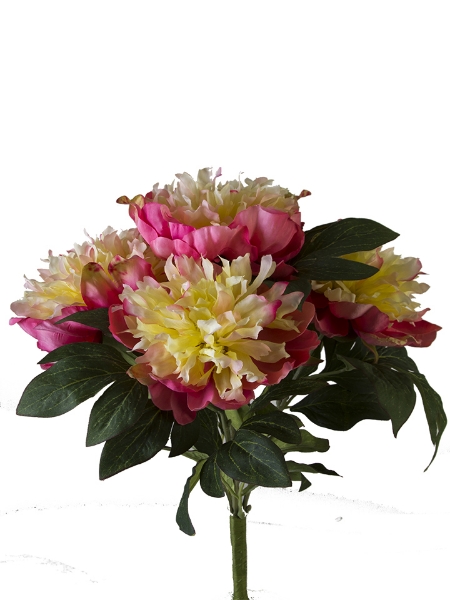 Picture of 15" PEONY BUSH × 5