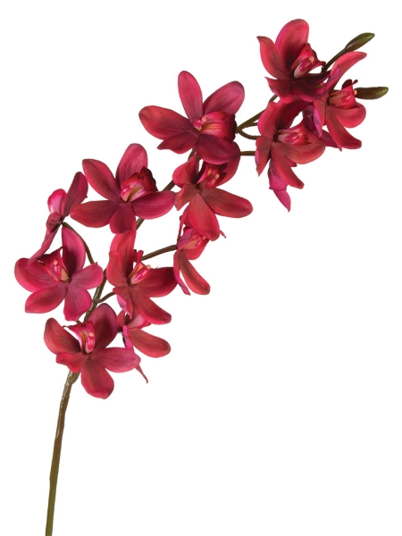 Picture of 33" HANGING CYMBIDIUM SPRAY