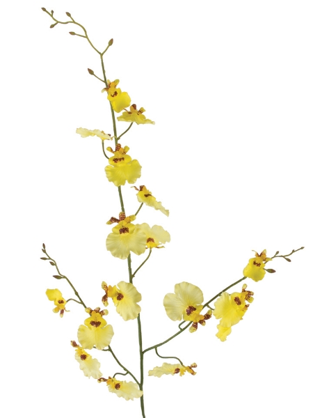 Picture of 36"ONCIDIUM SPRAY S