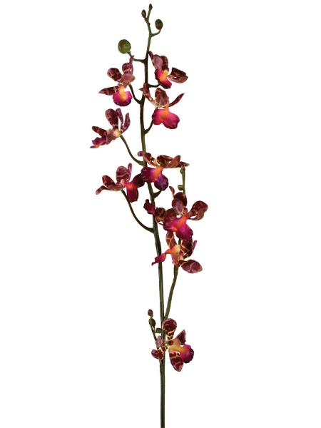 Picture of 32" ONCIDIUM SPRAY