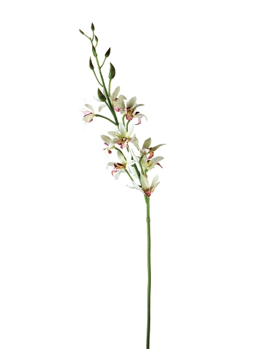 Picture of 36"FRAGRANT ORCHID SPRAY