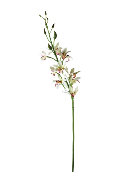 Picture of 36"FRAGRANT ORCHID SPRAY