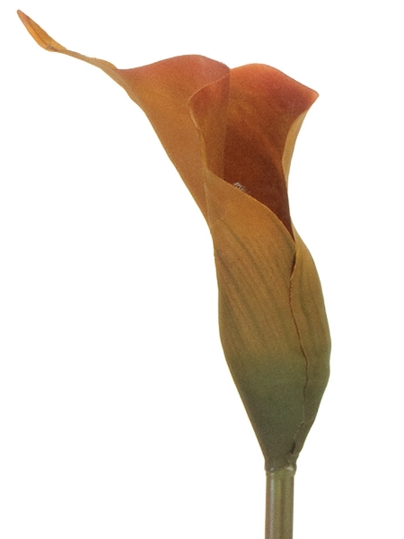 Picture of 29" CALLA LILY LG.