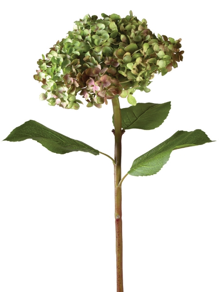 Picture of 32" ROUND HYDRANGEA