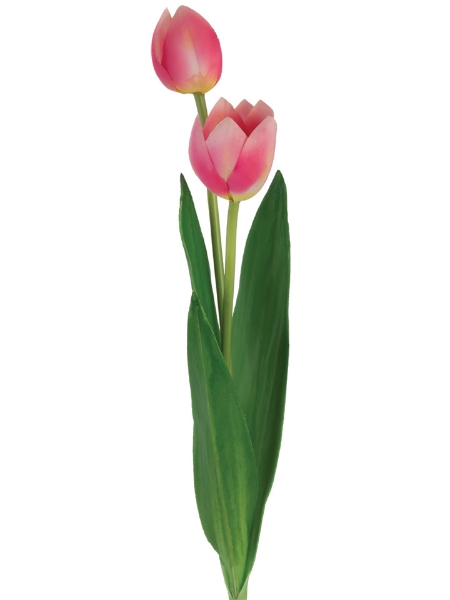 Picture of 25" TULIP SPRAY