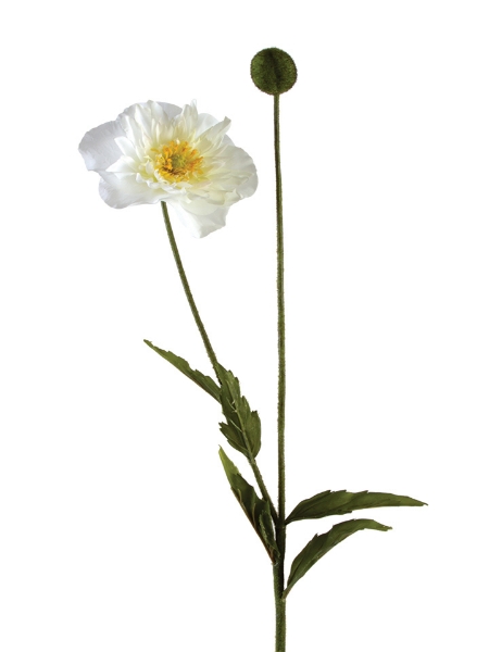 Picture of 30" ORNAMENTAL POPPY