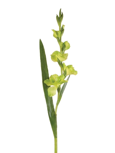 Picture of 38" Gladiolus Spray