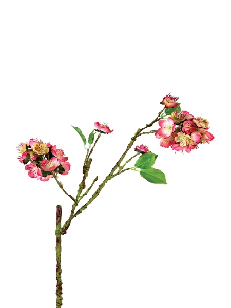 Picture of 21" CHERRY BLOSSOM SPRAY