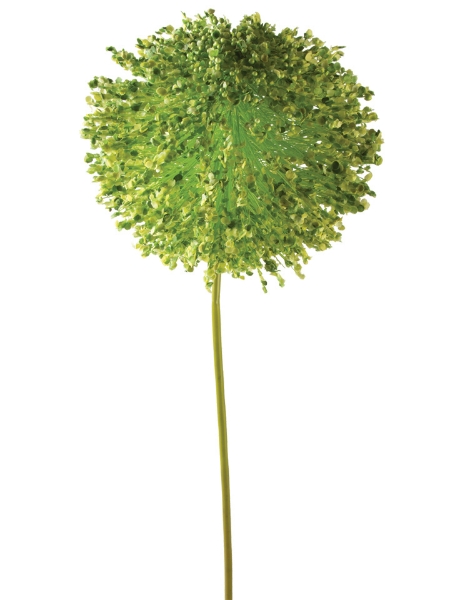 Picture of 44" Foxtail Lily Ball