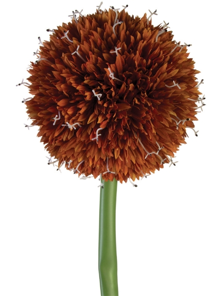 Picture of 38" GIANT ALLIUM SPRAY