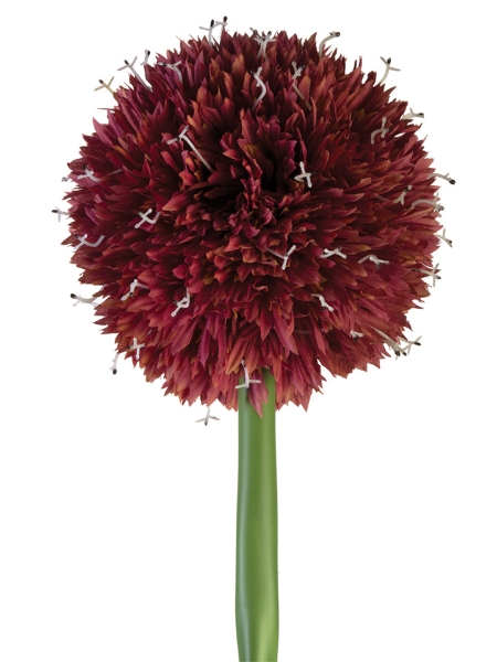 Picture of 38" GIANT ALLIUM SPRAY