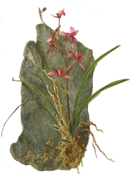 Picture of FRAGRANT ORCHID WALL PLAQUE