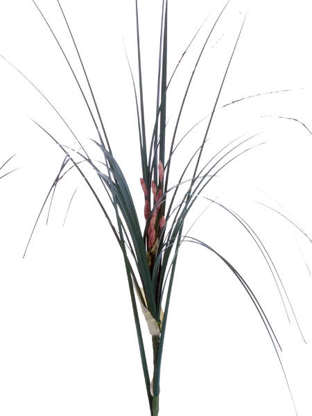 Picture of 17" PVC ONION GRASS+8" Stem