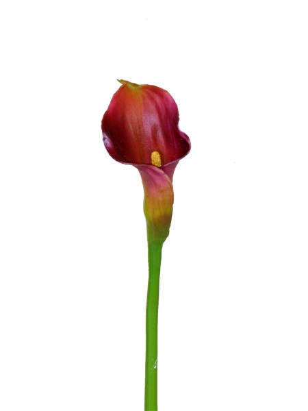 Picture of 18"CALLA LILY SPRAY XS