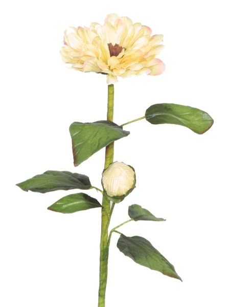 Picture of ZINNIA SPRAY