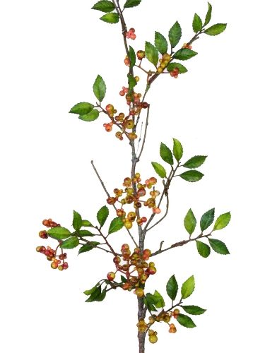 Picture of 32" BERRY SPRAY