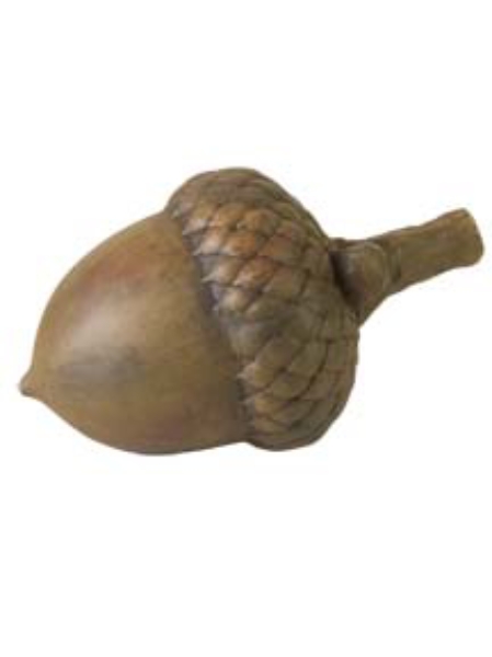 Picture for category Acorn