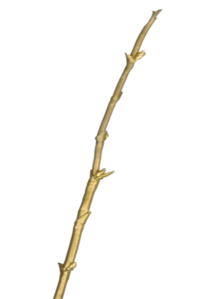 Picture of BAMBOO STEM-GOLD