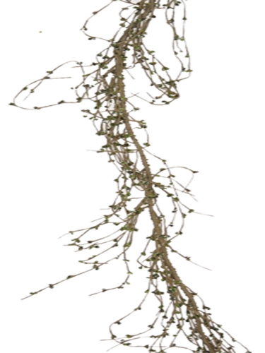 Picture of BERRY GARLAND