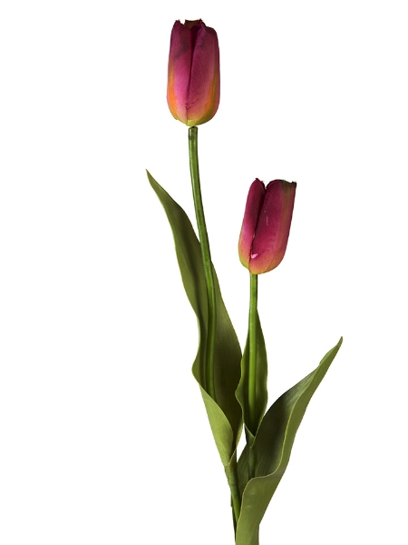 Picture of 23" TULIP BUD SPRAY-BU