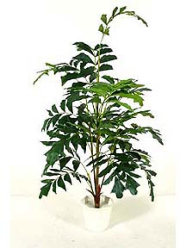 Picture of 7' FISH TAIL TREE X6/737LVS