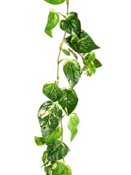 Picture of 6' POTHOS GARLAND W/140 LVS