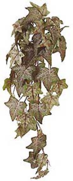 Picture of 36" NEEDLEPOINT IVY /50 LVS