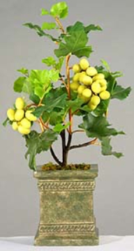 Picture of GRAPE TREE, 24"H