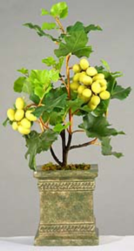 Picture of GRAPE TREE, 24"H
