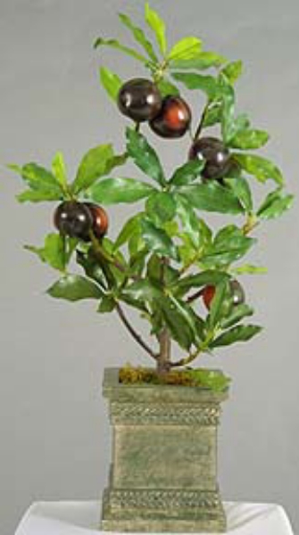 Picture of PLUM TREE, 24"H