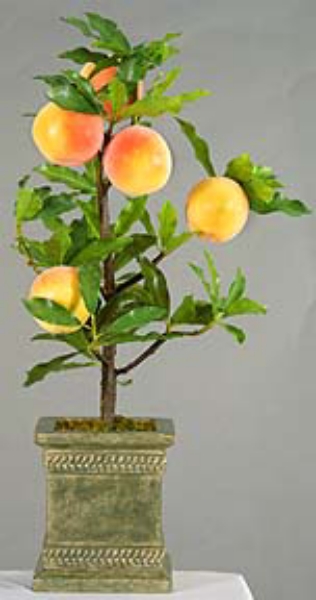 Picture of PEACH TREE, 24"H