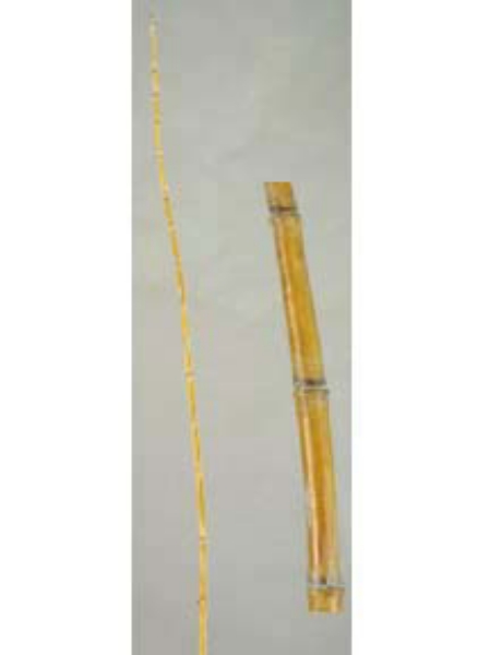 Picture of 43-1/2" BAMBOO SPRAY