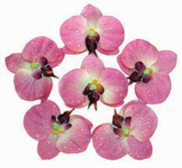 Picture of FLOATING ORCHID W/6 FLS/BAG